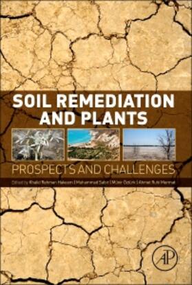 Hakeem / Sabir / Ozturk |  Soil Remediation and Plants | Buch |  Sack Fachmedien