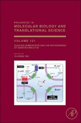 Glucose Homeostatis and the Pathogenesis of Diabetes Mellitus | Buch | 978-0-12-800101-1 | sack.de