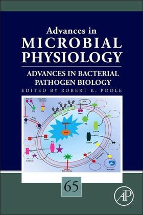 Advances in Bacterial Pathogen Biology | Buch | 978-0-12-800142-4 | www.sack.de