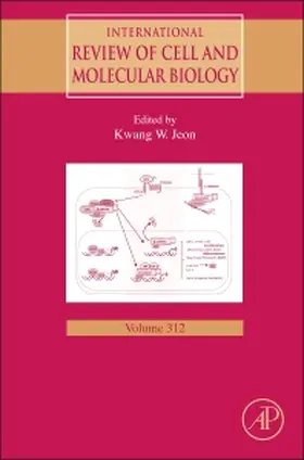 Jeon | International Review of Cell and Molecular Biology | Buch | 978-0-12-800178-3 | sack.de