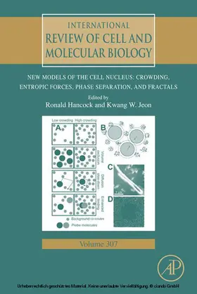 Hancock / Jeon | New Models of the Cell Nucleus: Crowding, Entropic Forces, Phase Separation, and Fractals | E-Book | sack.de