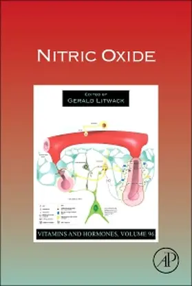  Nitric Oxide | Buch |  Sack Fachmedien