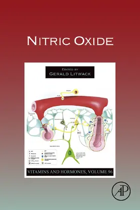 Litwack |  Nitric Oxide | eBook | Sack Fachmedien