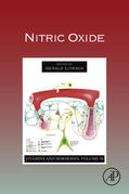 Litwack |  Nitric Oxide | eBook | Sack Fachmedien