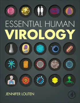 Louten | Essential Human Virology | Buch | 978-0-12-800947-5 | www.sack.de