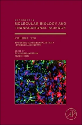  Epigenetics and Neuroplasticity - Evidence and Debate | Buch |  Sack Fachmedien