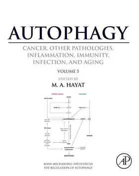 Hayat | Autophagy: Cancer, Other Pathologies, Inflammation, Immunity, Infection, and Aging | E-Book | sack.de