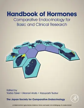 Takei / Ando / Tsutsui |  Handbook of Hormones | eBook | Sack Fachmedien