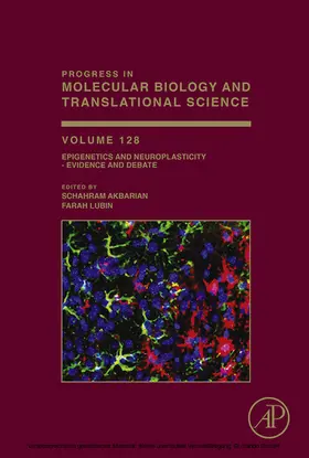 Akbarian / Lubin |  Epigenetics and Neuroplasticity - Evidence and Debate | eBook | Sack Fachmedien