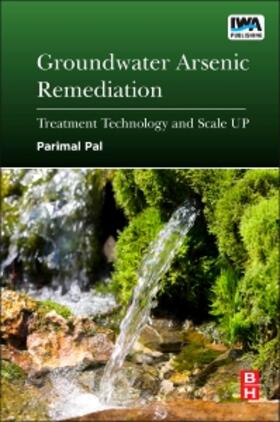 Pal | Groundwater Arsenic Remediation | Buch | 978-0-12-801281-9 | sack.de