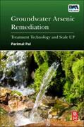 Pal |  Groundwater Arsenic Remediation | Buch |  Sack Fachmedien
