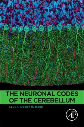 Heck |  The Neuronal Codes of the Cerebellum | Buch |  Sack Fachmedien
