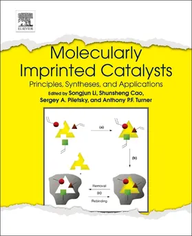 Li / Cao / Piletsky |  Molecularly Imprinted Catalysts | eBook | Sack Fachmedien