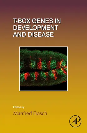 Frasch | T-box Genes in Development and Disease | E-Book | sack.de