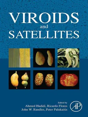 Hadidi / Flores / Randles | Viroids and Satellites | E-Book | www.sack.de