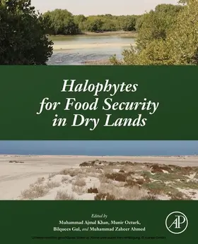Khan / Ozturk / Gul |  Halophytes for Food Security in Dry Lands | eBook | Sack Fachmedien