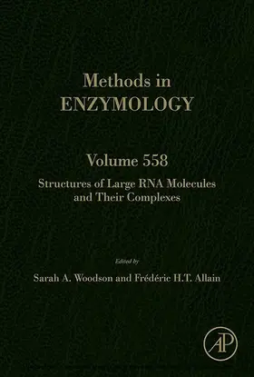  Structures of Large RNA Molecules and Their Complexes | eBook | Sack Fachmedien