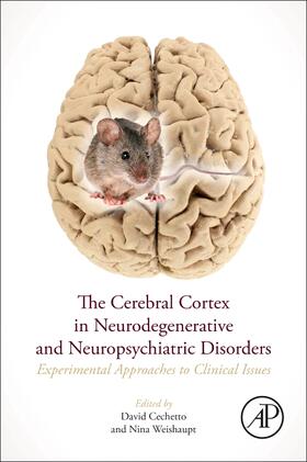 Cechetto / Weishaupt | The Cerebral Cortex in Neurodegenerative and Neuropsychiatric Disorders | Buch | 978-0-12-801942-9 | sack.de