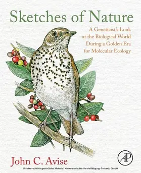 Avise |  Sketches of Nature | eBook | Sack Fachmedien