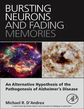 D'Andrea | Bursting Neurons and Fading Memories | E-Book | www.sack.de