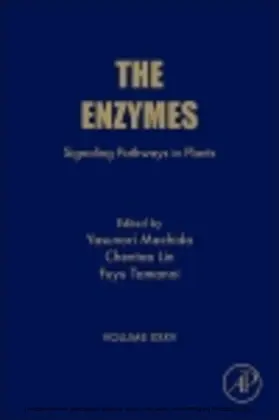 Machida / Lin / Tamanoi | Signaling Pathways in Plants | E-Book | www.sack.de