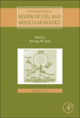 Jeon | International Review of Cell and Molecular Biology | Buch | 978-0-12-802283-2 | sack.de
