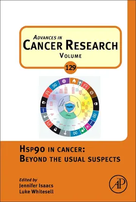 Hsp90 in Cancer: Beyond the Usual Suspects | Buch | 978-0-12-802290-0 | sack.de