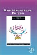 Litwack |  Bone Morphogenic Protein | Buch |  Sack Fachmedien