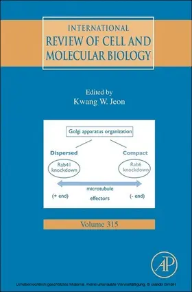 Jeon |  International Review of Cell and Molecular Biology | eBook | Sack Fachmedien