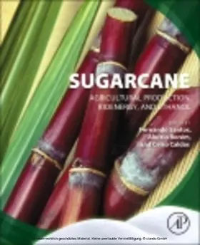 Santos / Borém / Caldas |  Sugarcane | eBook | Sack Fachmedien