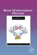Litwack |  Bone Morphogenic Protein | eBook | Sack Fachmedien
