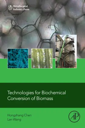 Chen / Wang |  Technologies for Biochemical Conversion of Biomass | eBook | Sack Fachmedien