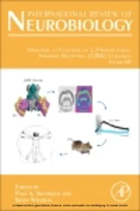 Wickman | Structure to Function of G Protein-Gated Inwardly Rectifying (GIRK) Channels | E-Book | www.sack.de