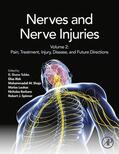 Rizk / Loukas / Barbaro |  Nerves and Nerve Injuries | eBook | Sack Fachmedien