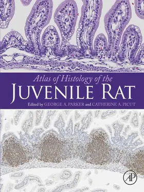 Parker / Picut | Atlas of Histology of the Juvenile Rat | E-Book | www.sack.de