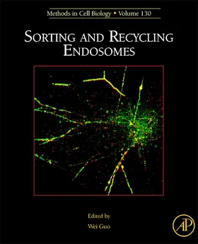 Sorting and Recycling Endosomes | Buch | 978-0-12-802829-2 | sack.de