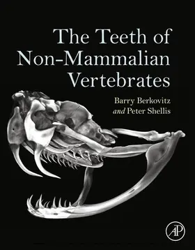 Berkovitz / Shellis | The Teeth of Non-Mammalian Vertebrates | E-Book | sack.de