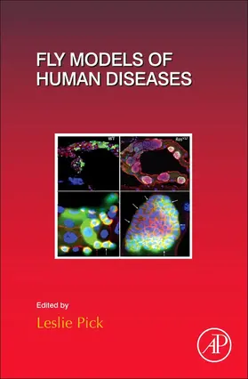  Fly Models of Human Diseases | Buch |  Sack Fachmedien