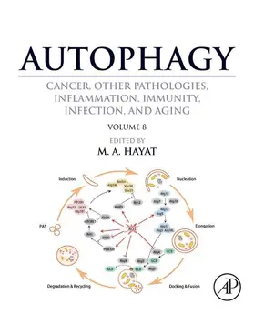 Hayat |  Autophagy: Cancer, Other Pathologies, Inflammation, Immunity, Infection, and Aging | eBook | Sack Fachmedien
