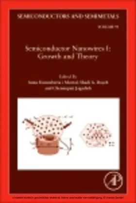 Jagadish |  Semiconductor Nanowires I: Growth and Theory | eBook | Sack Fachmedien