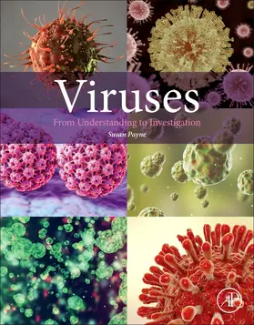 Payne | Viruses | Buch | 978-0-12-803109-4 | www.sack.de