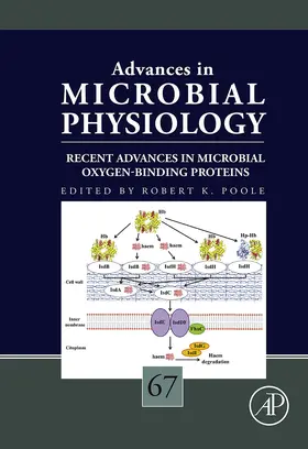  Recent Advances in Microbial Oxygen-Binding Proteins | eBook | Sack Fachmedien