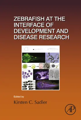  Zebrafish at the Interface of Development and Disease Research | eBook | Sack Fachmedien