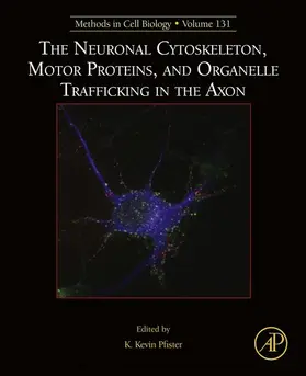  The Neuronal Cytoskeleton, Motor Proteins, and Organelle Trafficking in the Axon | eBook | Sack Fachmedien