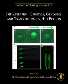  The Zebrafish: Genetics, Genomics, and Transcriptomics | Buch |  Sack Fachmedien