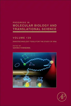 Rahman | The Molecular Basis of Drug Addiction | Buch | 978-0-12-803786-7 | sack.de