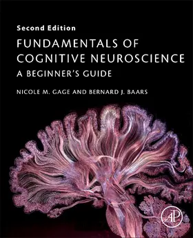 Gage / Baars | Fundamentals of Cognitive Neuroscience | Buch | 978-0-12-803813-0 | www.sack.de