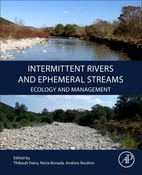 Datry / Bonada / Boulton |  Intermittent Rivers and Ephemeral Streams | Buch |  Sack Fachmedien
