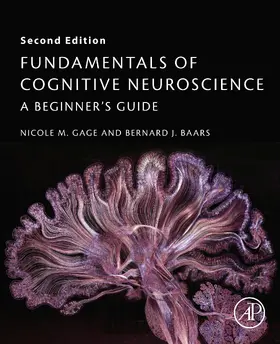 Gage / Baars | Fundamentals of Cognitive Neuroscience | E-Book | www.sack.de
