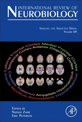 Imaging the Addicted Brain | Buch | 978-0-12-803914-4 | www.sack.de